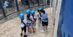 -PIPIKINGDOM皮皮王国欢乐号(欢乐海岸购物中心店)