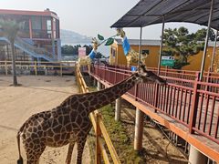 -西霞口神雕山野生动物世界