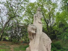 -南山公园