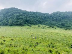 -白草畔自然风景区
