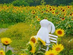 -郫都区农科村景区
