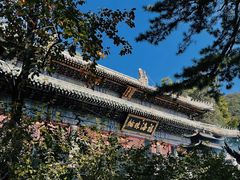 -潭柘寺景区