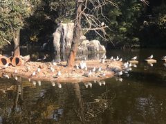 -昆明动物园