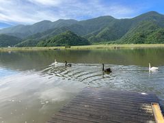 -大九湖