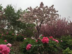 -江南大学(蠡湖校区)