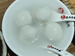 -海丝金凤(金鱼店)
