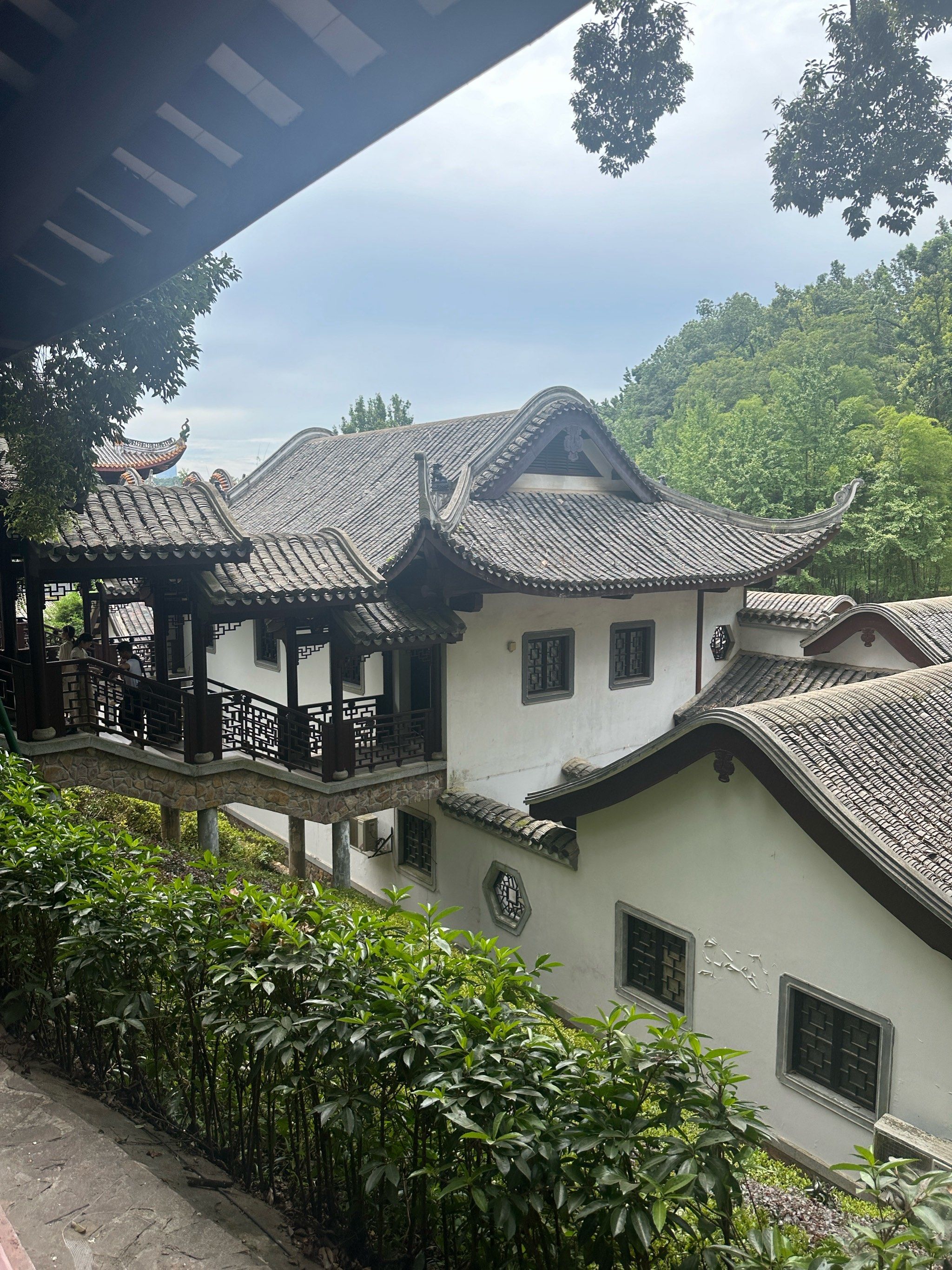 不错不错👍