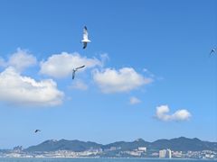 -刘公岛景区