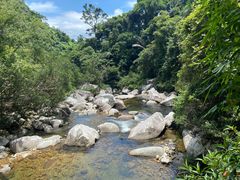 -海南热带雨林国家公园吊罗山景区