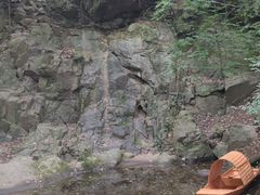 -上海佘山国家森林公园天马山园