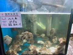 -九层海鲜塔(市南店)