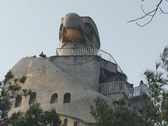 大金鹰公园-大金鹰园
