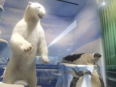 -国家自然博物馆