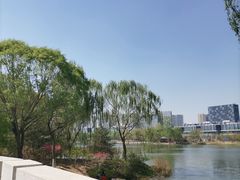 -大兴滨河森林公园