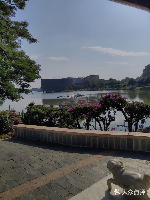 松山湖南湖湾露营营地图片