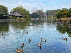 -水前寺成趣园