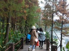 -重庆彩云湖湿地公园