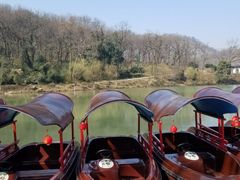 -镇江市南山风景名胜区竹林景区
