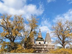 -北京石刻艺术博物馆(五塔寺)