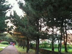 -柱状节理带