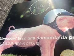-ALLORA意大利餐厅(丰盛里店)