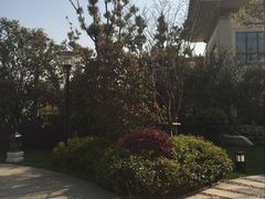 -苏州湾王焰温泉度假酒店
