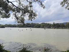 -惠州西湖风景名胜区-丰渚园