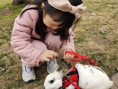 -上海佘山世茂艾美酒店