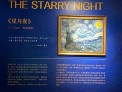 -上海梵高星空艺术馆(南京路旗舰店)