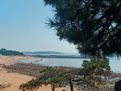 -青岛第二海水浴场