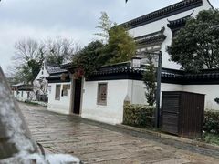 -普洱茶府(博乐广场店)