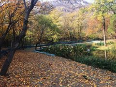 -白水寺森林公园