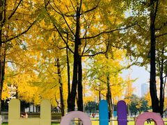 -重庆市江北嘴中央商务区中央公园