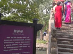 门口都是拍照的人-韩湘水博园