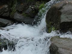 -中国茶叶博物馆(双峰馆区)