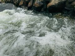 -千岛湖九龙溪漂流
