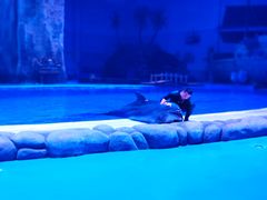 -华夏文旅海洋公园