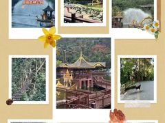 -西双版纳原始森林公园