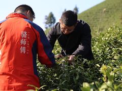 -正源安吉白茶特产享购商场(安吉店)