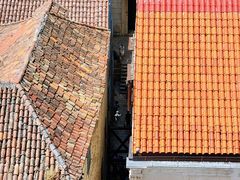 -圣多米努斯大教堂及钟楼(Sv. Dujma)