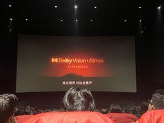 -万达影城(闵行颛桥万达广场杜比影院店)
