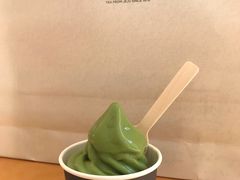 -雪绿茶博物馆