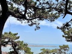 -八大关景区