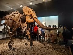 -洛阳古墓博物馆