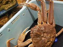 -东海怡品海鲜豆捞(舟宿夜江店)