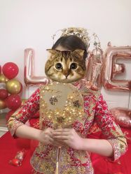-韩国天使嫁衣婚纱礼服馆(上海旗舰店)