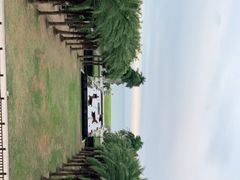 -三亚海棠湾万丽度假酒店