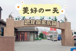 -恐龙探索乐园(磁器口店)