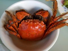 -小六农家乐(崇明西沙湿地店)