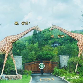 暑假和朋友们来了一场说走就走的旅行～ 【目的地】湖州